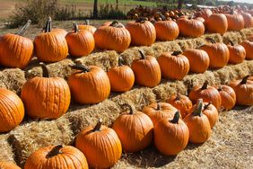 Photo of lined pumpkins on hay bales