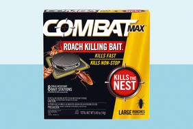 A box of Combat Max, one of the best roach killers, on a two tone blue background. 