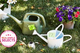 Best Watering Cans Tout