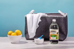 vinegar botle, lemons, detergent and a bag