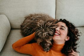 Woman Playing With Dog On Sofa At Home