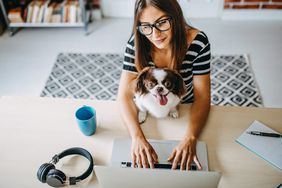 Working from home email, template, tips - how to ask to work from home post-pandemic (worker with dog)
