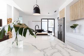 Contemporary kitchen with quartz countertop and monstera leaves in glass vase