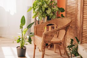 how-to-clean-wicker-furniture-GettyImages-1443425535