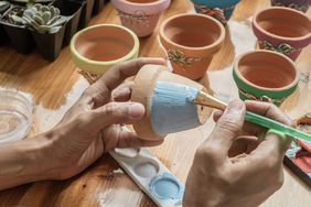 how-to-paint-a-terracotta-pot-GettyImages-1423698508