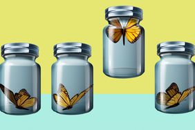 Cabin fever - meaning, definition, and symptoms (butterflies in jars)