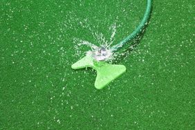 Lawn Care Myths to Stop Believing: sprinkler on lawn