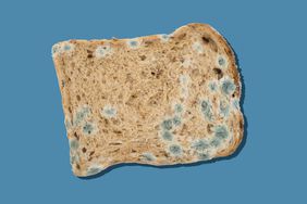 Moldy Bread against a white background