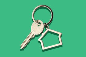 silver key on a green background
