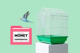 bird flying out of cage