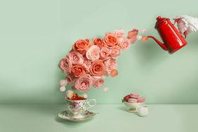 hand holding red teapot and roses and teacups on a green background