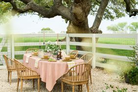table outside with red gingham tablecloth