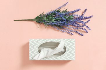 A spring of flowering lavender and a box of Kleenex lie on a peachy-pink background.