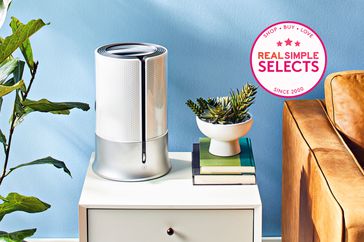 The Best Humidifiers, Tested and Reviewed