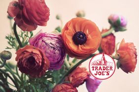 trader-joes-Ranunculus-flowers-GettyImages-145929221
