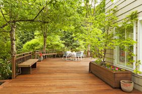 Beautiful Large Back Deck with trees