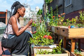 woman tending to rooftop garden