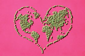 What Does It Mean to Be "Climate Positive?": heart made of leaves