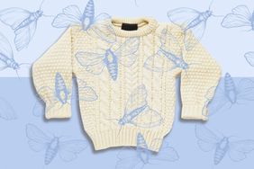 cream pullover knitted sweater on a light blue background with illustrated moths spread all over the image